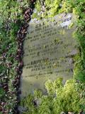image of grave number 100249